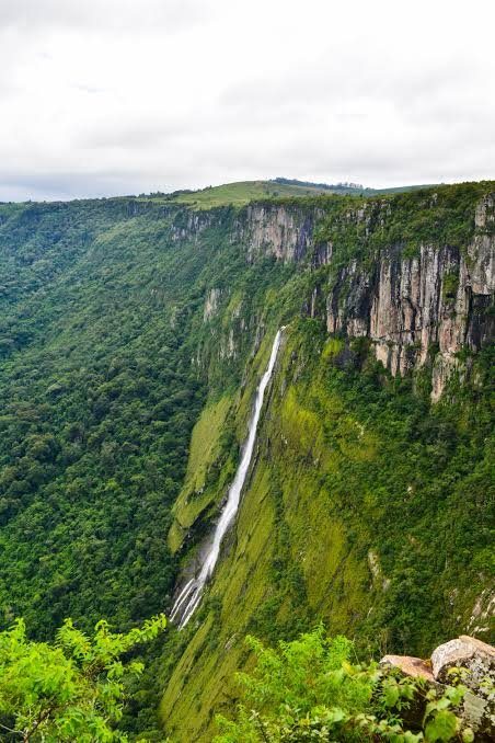 A long waterfall down a forested cliff